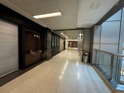Cuppage Plaza (D9), Shop House #509570551